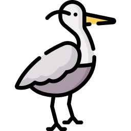 reiger icoon