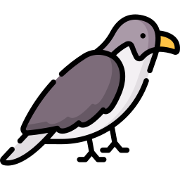 Falcon icon