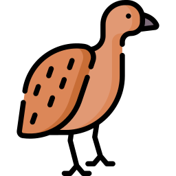 Quail icon