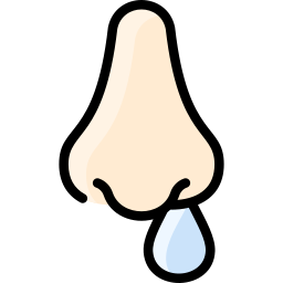 Nose icon