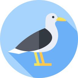 Seagull icon