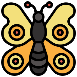 Butterfly icon