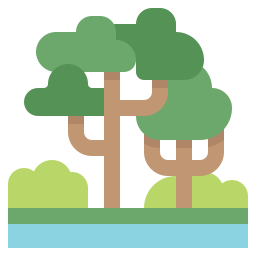 Rainforest icon