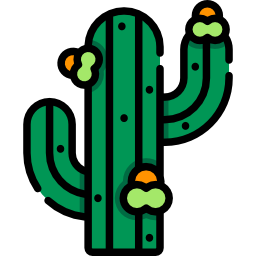 cactus icoon