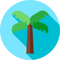 palme icon