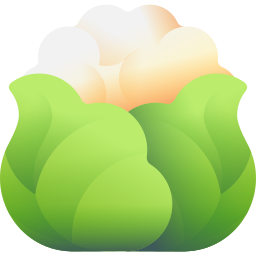 blumenkohl icon