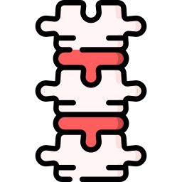 Spine icon