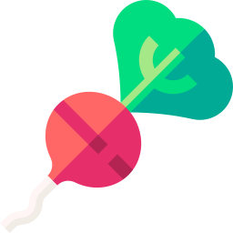 Radish icon