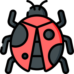 Ladybug icon