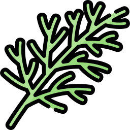 Dill icon