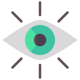 vision icon