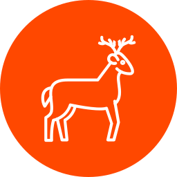 cerf Icône