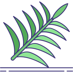 Palm leaf icon