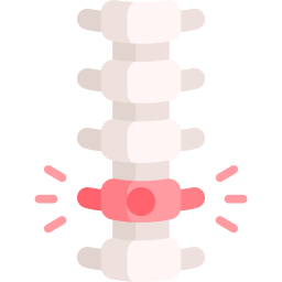 coluna vertebral Ícone