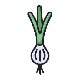 Spring onion icon