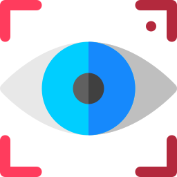 Focus icon