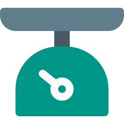 Scale icon