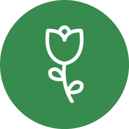 Tulip icon