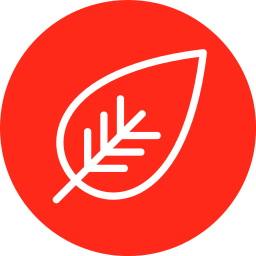 Leaf icon