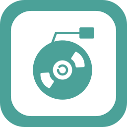 Vinyl icon