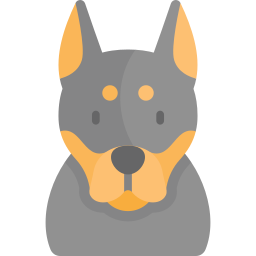 dobermann Icône