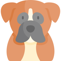 boxer icon