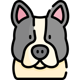 French bulldog icon