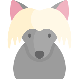 Chinese crested icon