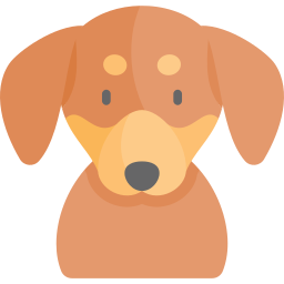 dachshund Ícone