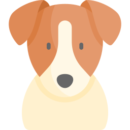 jack russell terrier icon