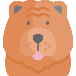 Chow chow icon