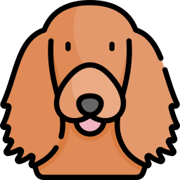 cocker spaniel icon