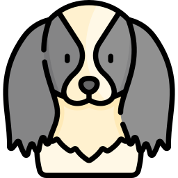 Japanese chin icon