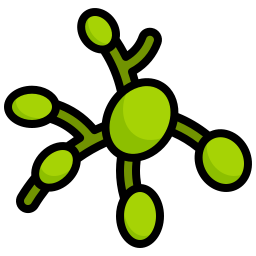 Lymph nodes icon