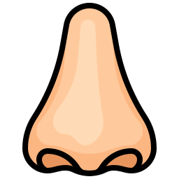 Nose icon