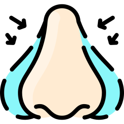 Nose icon