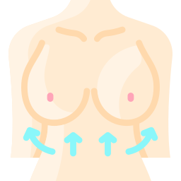 Breast icon