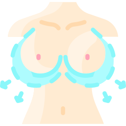 Breast implant icon