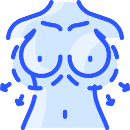 Breast implant icon