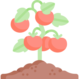 tomaten icon