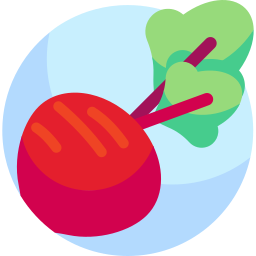 Beetroot icon