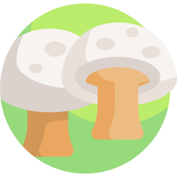 champignon Icône