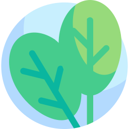 Spinach icon