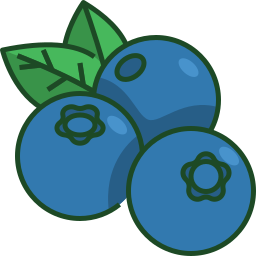 Blueberry icon