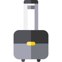 Bag icon