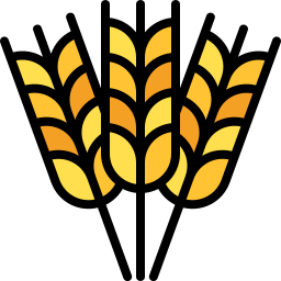 Wheat grain icon