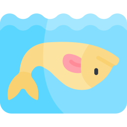 toter fisch icon