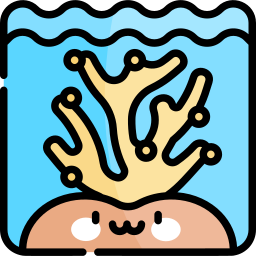 Coral icon