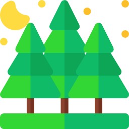 Spruce icon