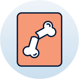 X ray icon